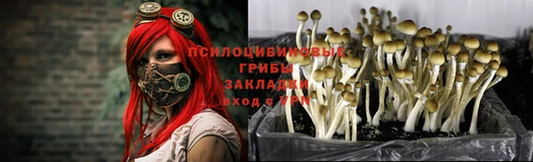 синтетический гашиш Беломорск