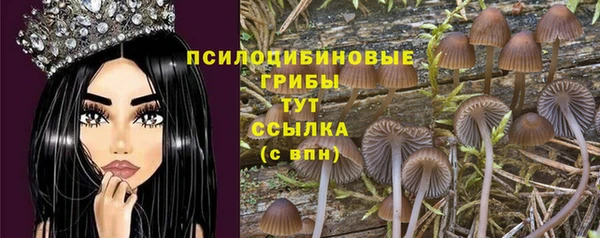 синтетический гашиш Белокуриха