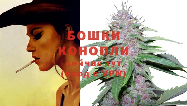 синтетический гашиш Белокуриха