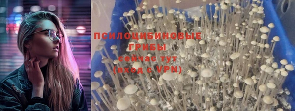 синтетический гашиш Белокуриха