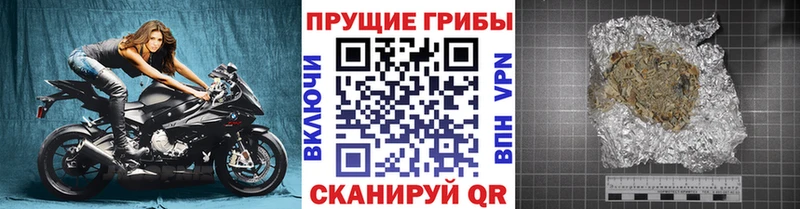 хочу   площадка Telegram  Галлюциногенные грибы Magic Shrooms  Пестово 
