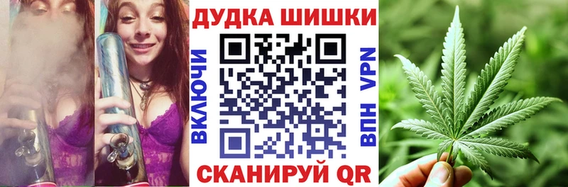 купить  цена  Пестово  площадка официальный сайт  Бошки Шишки гибрид 